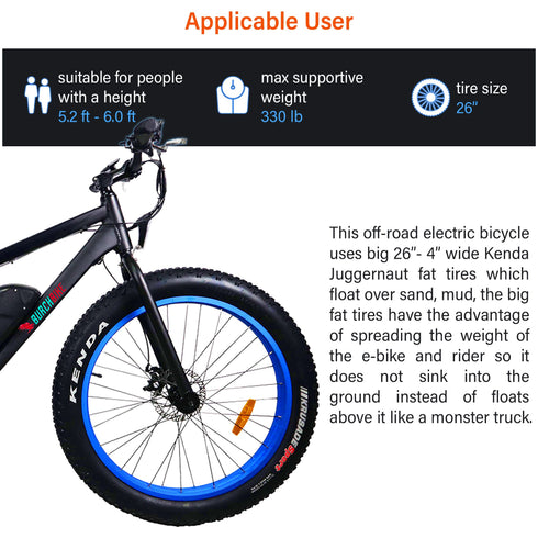 Burch Electric Mountain Bike Eagle
